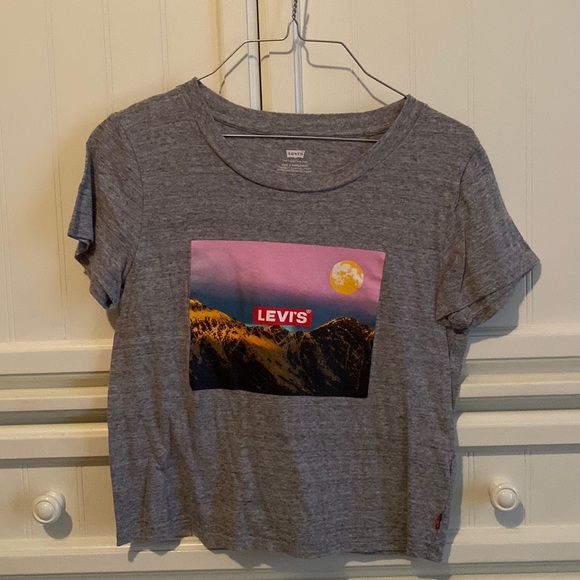 Levi's Tops - Small Levi’s Grey Mountain Graphic Crop-Top